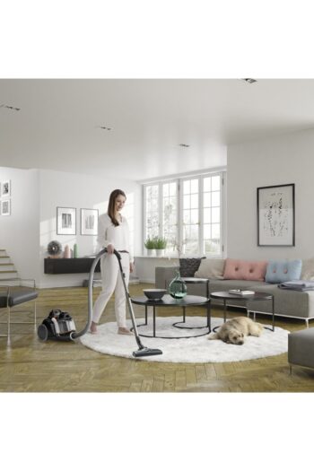 Electrolux UltraFlex EUFC82EB 650 W Toz Torbasız Süpürge - Görsel 6